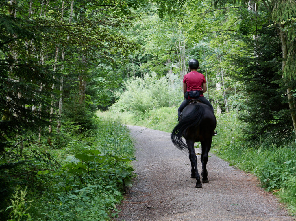 Randonnée en montagne